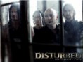 Disturbed (Info)